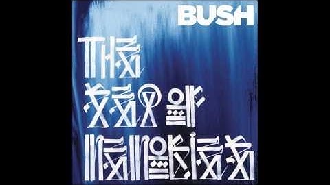 Bush - The Sound Of Winter