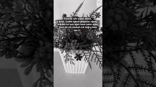 İnsanda Vefa Arama Azizim..