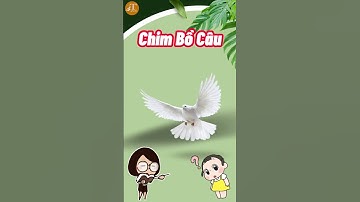 #shorts Dạy Bé Đọc Tên Các Loài Chim: Chim Đại Bàng, Chim Bồ Câu, Chim Hải Âu … | 2T Kids Shorts