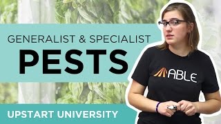 Whats the difference between a generalist pest and specialist pest?