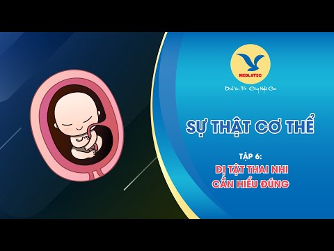 Video: Ý nghĩa của di truyền đối với sự phát triển của thai nhi?