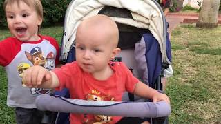 Дети играют с кошками бегаю на площадке Аланья kids playing with cats havin fun at playground Alanya Дети играют с кошками бегаю на площадке Аланья kids playing with cats havin fun at playground Alanya