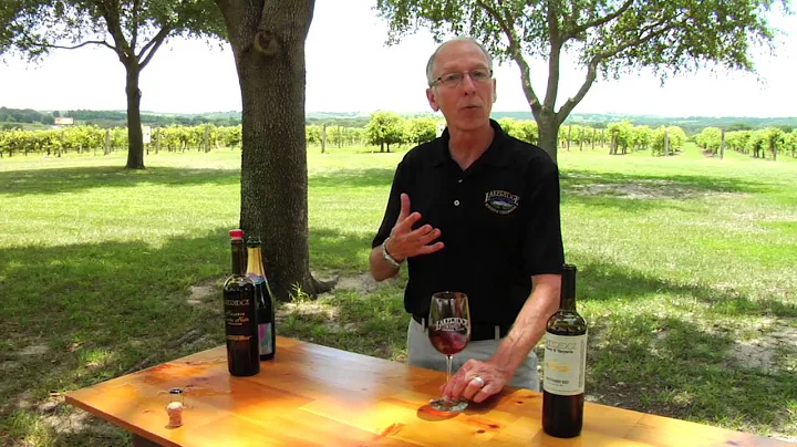 HTDF Extras: Wine Tasting Tips
