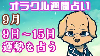 【週間占い】9日～15日の運勢を占います！/ オラクルカード第65回【Vtuber/星戌セン/#vtuber #オラクルカード #占い】
