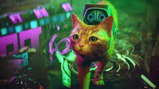 RUN KITTY RUN!!! (Stray - Pt 2) screenshot 5