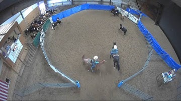 Big Sky Ranch Sorting Saddle Series #4 - OPEN - Round #1 - Ride #34