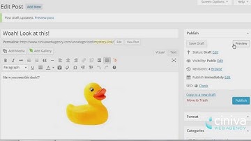 How to Add Media to a Page / Post in Wordpress