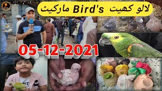 Lalukhet Birds Market Sunday video Latest update 05- 12-2021 Urdu\/ Hindi