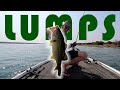 Catching Big Bass (Spawn Bass Fishing) Roodekoppies Dam