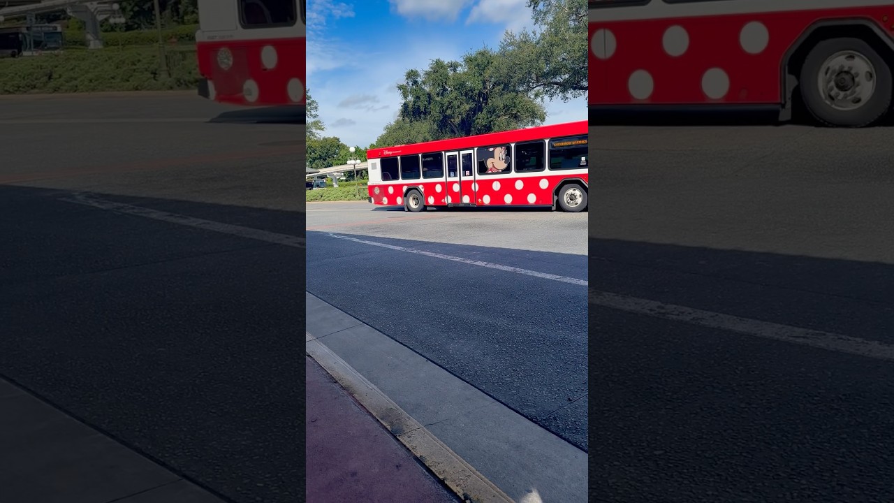 Minnie Mouse buses