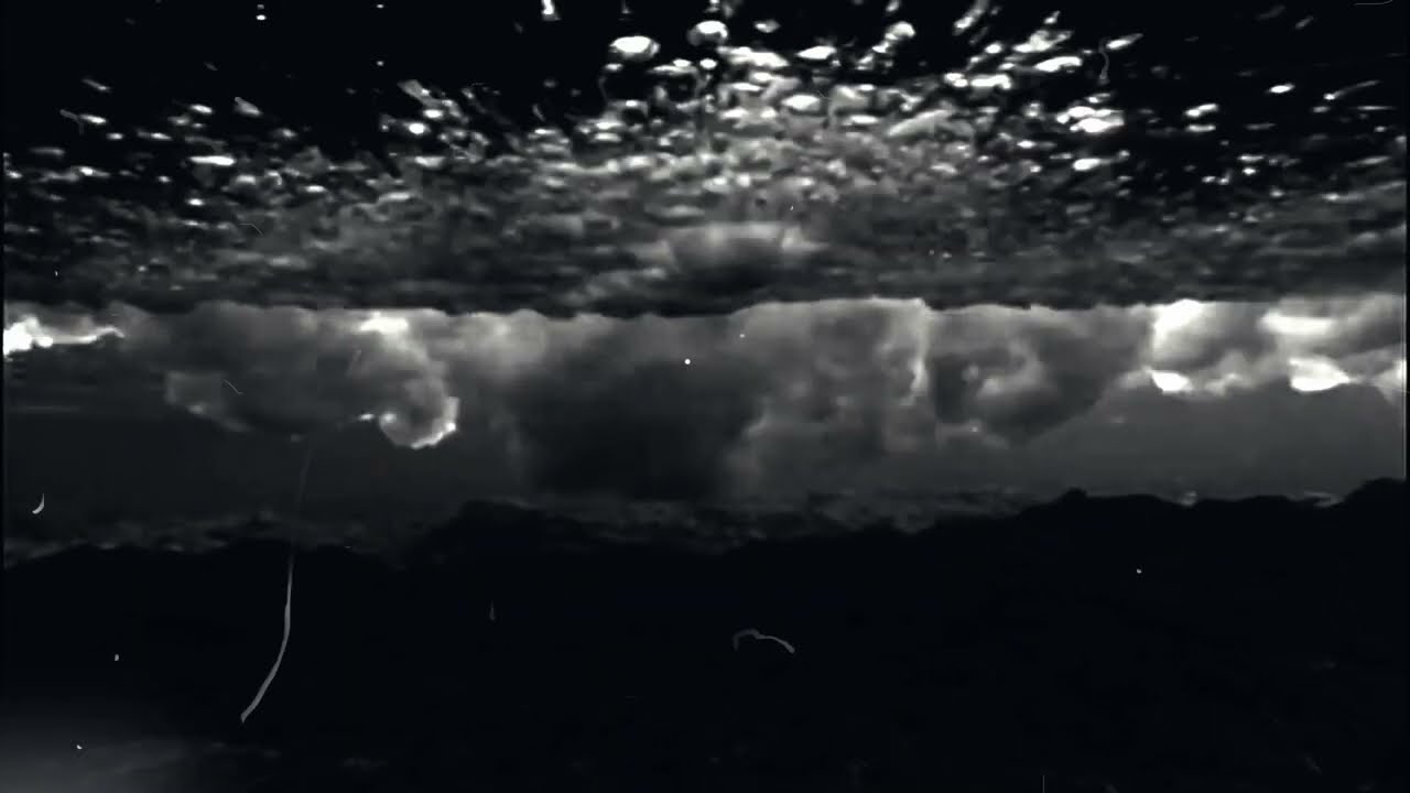 Shannon Bourne "Black Wave".