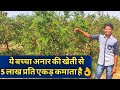 17 साल का बच्चा आनर की खेती से लाखों कमाता|Pomegranate Farming in Maharashtra India