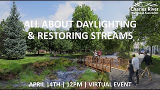 All About Daylighting & Restoring Streams
