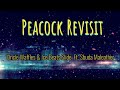 Peacock Revisit (Lyrics) - Uncle Waffles & Ice Beats Slide Ft Sbuda Maleather