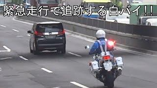 歩行者妨害ワゴンタクシーが白バイに捕まった瞬間