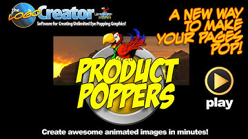 flash animator