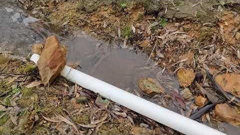 Our dam is full, overflowing!