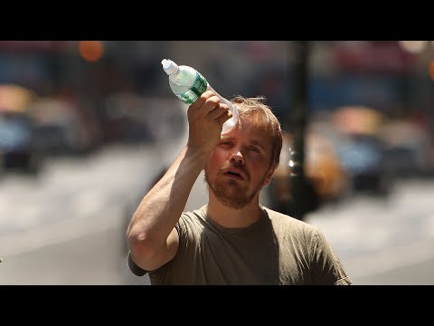 Una ola de calor está sofocando a varias partes del mundo: estas son las causas y los efectos.