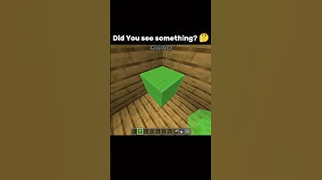 Slime Block Ellusion Video!!! 😎☠️