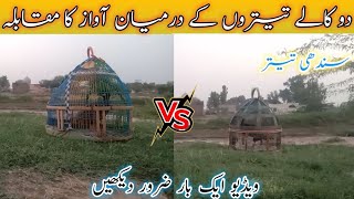 Two Black Francolin Competition  Kala Teetar Muqabala       
