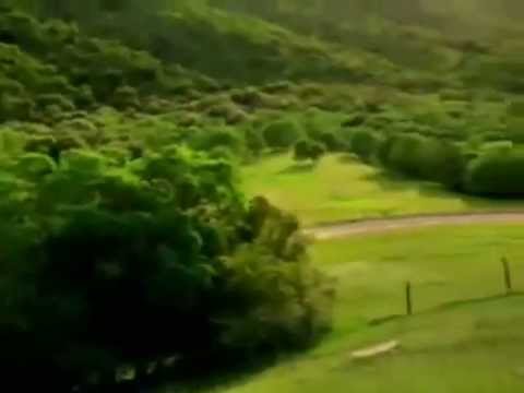 Video Clip hù ma kinh dị - youtube