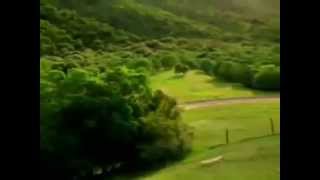 Clip hù ma kinh dị screenshot 3