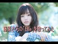 【Great singer】藤原さくらのEllieを歌ってみた【きっとこれラスト】