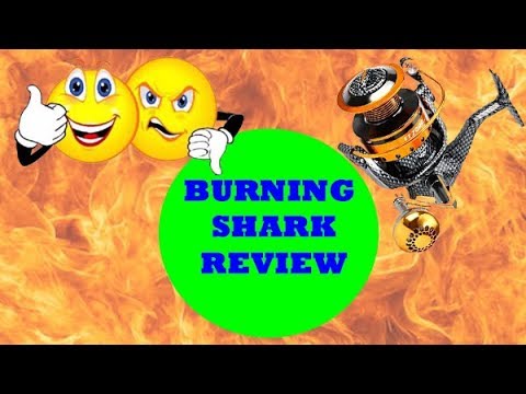 Burning Shark Spinning Reel Review 
