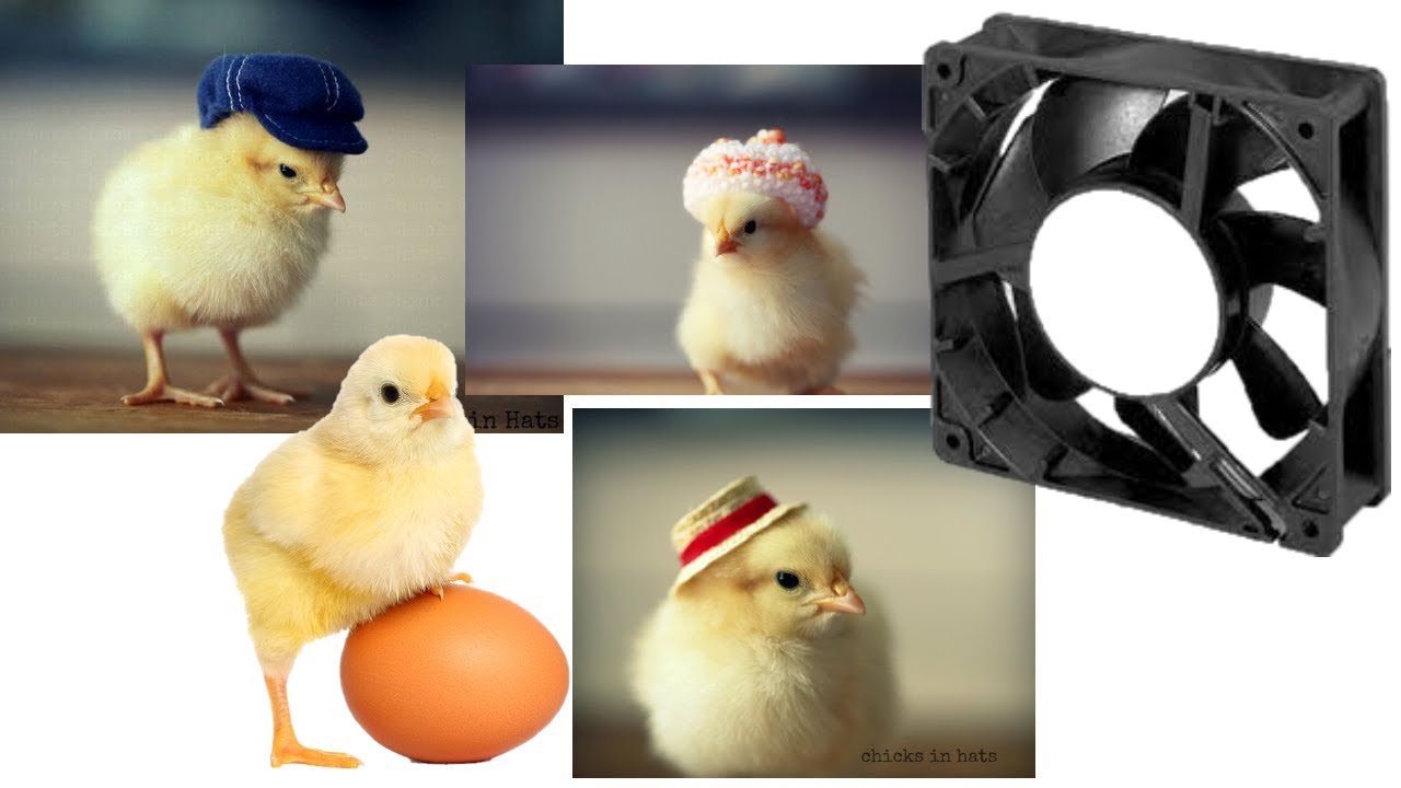 purpose of fan in incubator home made incubator how to make an