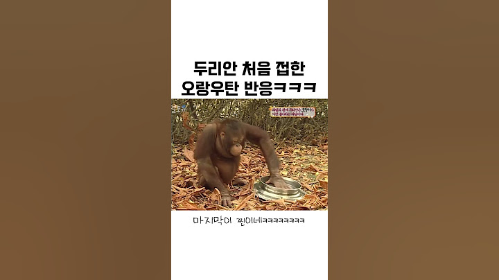 손에 두리안 묻어 짜증난 오랑이 표정ㅋㅋㅋㅋ #shorts