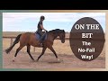 Dressage Training | Getting Your Horse Forward And On The Bit