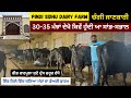 3035          pindi sidhu dairy farm dairyfarm