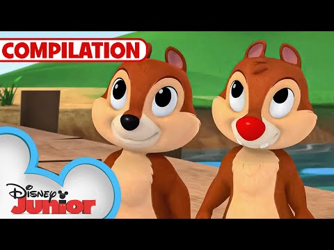 Adventures with Chip 'N Dale 🐿️ | Nutty Tales | Shake Your Tail | 1 Hour Compilation |@disneyjunior