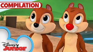 Adventures with Chip 'N Dale  | Nutty Tales | Shake Your Tail | 1 Hour Compilation |@disneyjunior