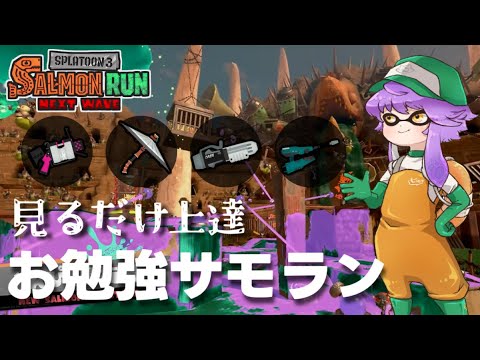 【サーモンランNW】見るだけ上達"お勉強ｻﾓﾗﾝ"！ヅナどんぴこ闘技場！！【スプラトゥーン3】