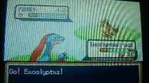 Out on a limb... Shiny Treecko after 3883 Soft Resets on Ruby!