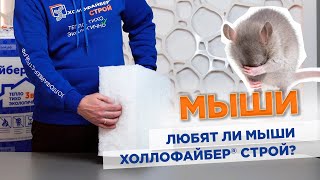Любят ли мыши Холлофайбер®?