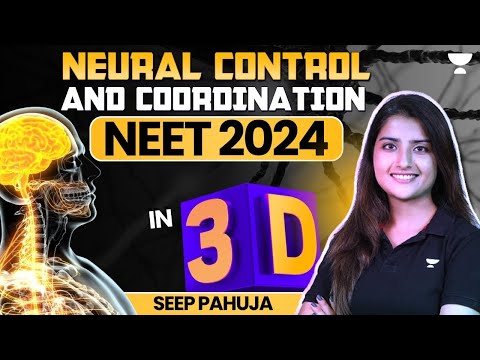 Neural Control and Coordination in 3D | Part 2 | NEET 2024 | Seep Pahuja
