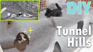 DIY Tunnel Hills for cats | They were so excited!!