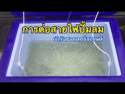 ต่อปั้มลมกับแบตเตอรี่รถยนต์ทำอ๊อกปลา