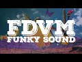 FDVM & Solar State - Funky Sound [Official Lyric Video]