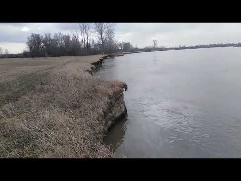 Video: Chumysh River: beskrivelse og attraksjoner