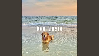 Binaural Harmony for Active Paws