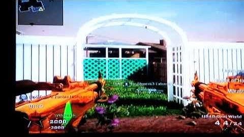 Black ops 15th prestige lobby - ModMenu - Unlock all