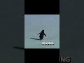 penguin