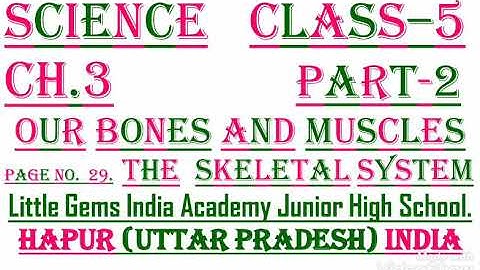 1577.  SCIENCE. CL. 5. CH.3. OUR BONES AND MUSCLES.  PART.2. THE SKELETAL SYSTEM.  July 10, 2021