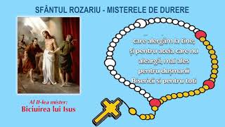 Sfântul Rozariu - Misterele de durere (împreună cu PS Petru Gherghel)