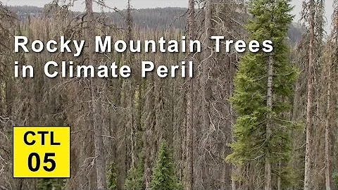 Climate, Trees, and Legacy: 05 - Rocky Mtn Trees in Climate Peril