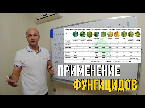 Видео: Градински фунгициди - кога и как да използвате фунгицид