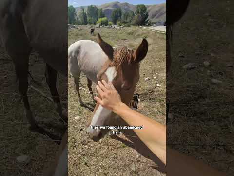 Throwing A Dart At A Map For Surprise Adventure 